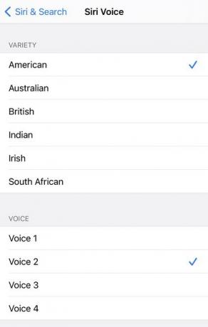 Sådan ændres Siris stemme efter installation af iOS 14.5-opdateringen