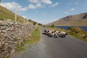 Rayakan Hari St. Patrick dengan Melakukan Perjalanan Lapangan Virtual ke Irlandia