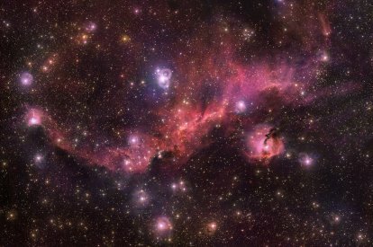 輝線星雲は幅100光年、カモメのような形をしている