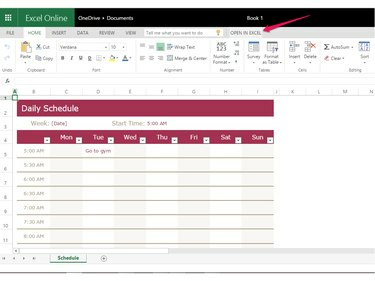 Užpildykite tvarkaraštį arba spustelėkite Atidaryti programoje Excel.