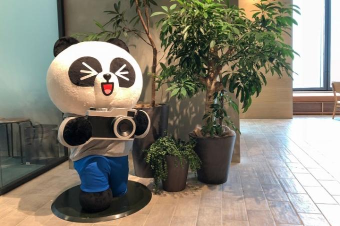 Cámara panda con IA de línea