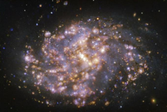 Galaxen NGC 1087. tagen med Multi-Unit Spectroscopic Explorer (MUSE) på ESO: s Very Large Telescope (VLT).