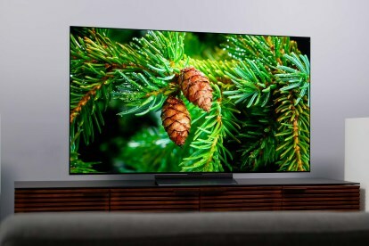 Μια εικόνα ενός πεύκου στο LG C2 OLED.