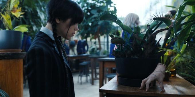 वेडनसडे एडम्स के रूप में जेना ओर्टेगा, वेडनसडे के एक दृश्य में अशरीरी हाथ, थिंग को घूरती है।