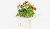 Δεν χρειάζεται πράσινος αντίχειρας με την ηλεκτρονική γλάστρα φυτών Click & Grow