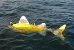 Γνωρίστε το robofish, το θαλάσσιο μηχάνημα που καθαρίζει τα μολυσμένα νερά