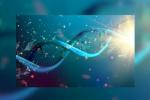 Kanādas pētnieki izgudroja nanotermometru, kas izgatavots no DNS