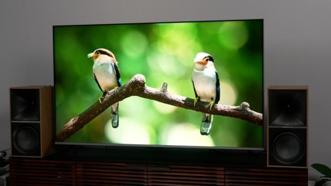 uma imagem de dois pássaros exibidos em uma TV Roku Plus Series.