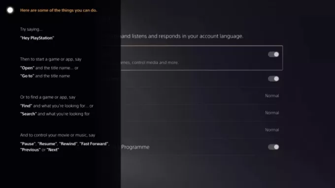 Eine Liste der PS5-Sprachbefehle.