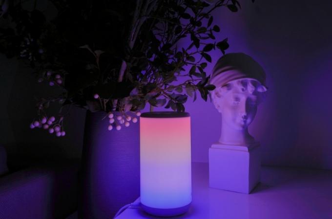 A lâmpada Govee com luzes RGB.