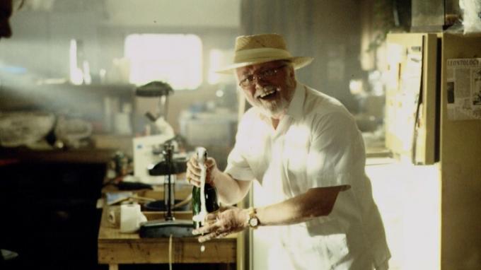 Steven Spielbergs Jurassic Park avslører en skyldig tilståelse om moderne filmer