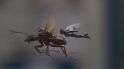 Ant-Man en de Wasp recensie