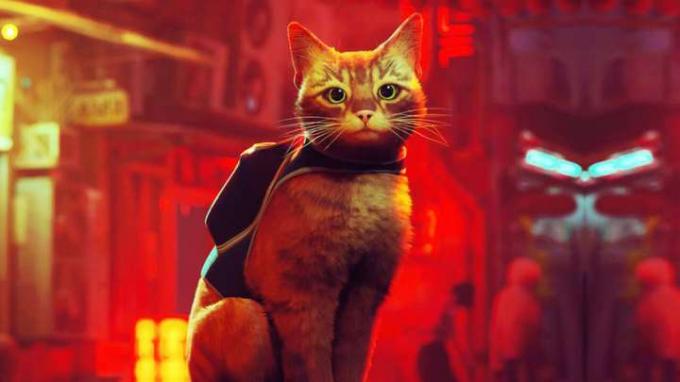 El gato principal de Stray mirando hacia el primer plano con edificios cyberpunk detrás de él.