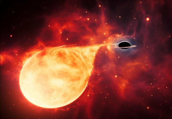 umetnikov vtis prikazuje zvezdo, ki jo raztrga črna luknja srednje mase