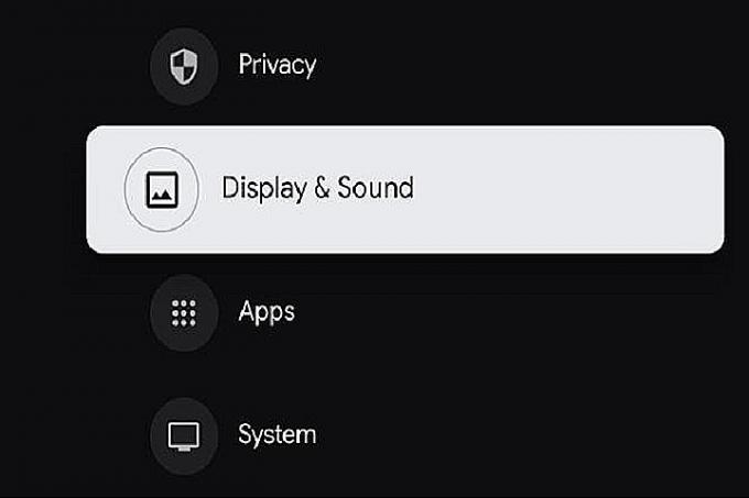 Google TV のディスプレイとサウンドのオプション。