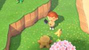 Animal Crossing: New Horizons Inventory Upgrades Guide