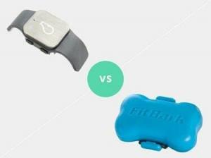 Doggie Tracker Faceoff: Whistle GPS vs FitBark