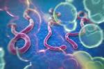 IBM setzt seine Supercomputing-Fähigkeiten im Kampf gegen Ebola ein