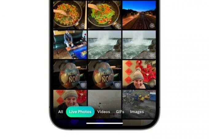 iPhone показва Giphy сърфиране за Live Photos.