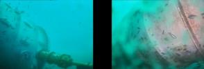 Microsoft utiliza Fish Cams para rastrear el proyecto submarino Natick Data Center