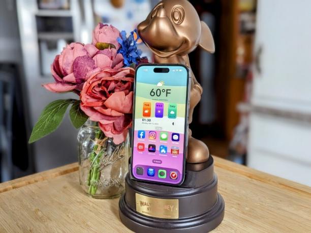 花の横にあるミッキーマウスの電話ホルダーにカスタムホーム画面を備えた iPhone 14 Pro