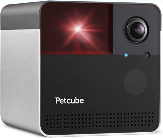 Petcube Play 2 Play Wi-Fi Pet Camera, matinė sidabrinė