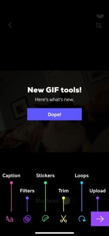 איך לעשות GIF באייפון שלך gippy5