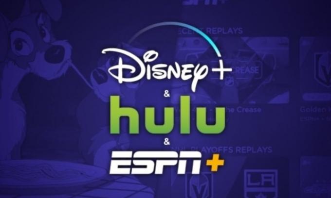 Logo Disney+, Hulu, dan ESPN Plus.