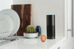 „Amazon“ praneša apie „Alexa“ pranešimą apie „Echo“ įrenginius