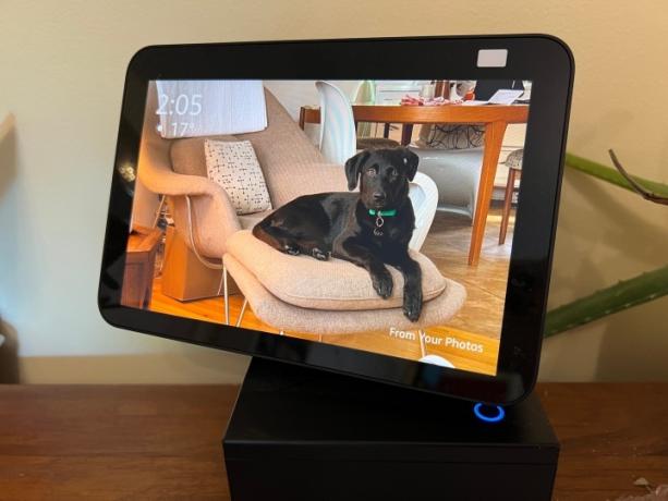 Foto de un cachorro en Echo Show 8.