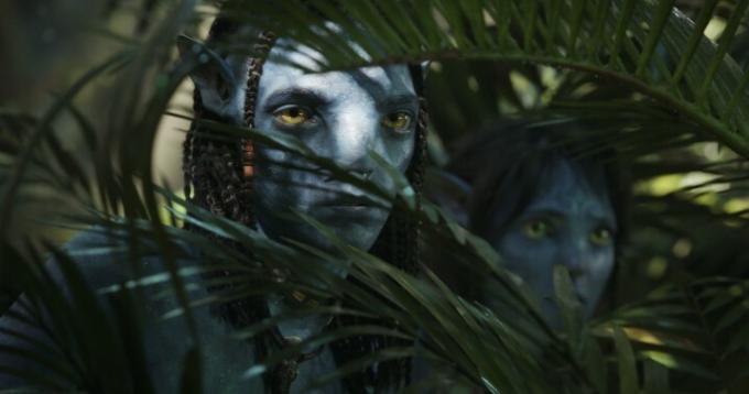 نافي ذو بشرة زرقاء ينظر من الغابة في مشهد من Avatar: The Way of Water.