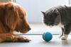 Esta bola inteligente entretiene a tus mascotas mientras estás fuera