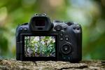 مراجعة Canon EOS R6: ما يكفي للتأثير حتى على عشاق DSLR العنيدين