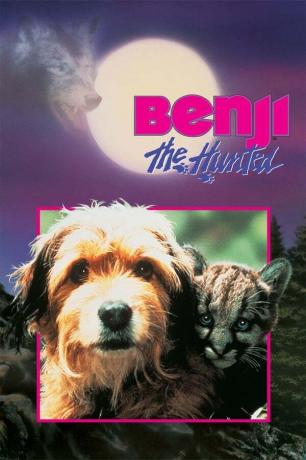 Benji, o Caçado