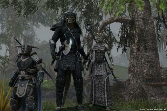 Le groupe de joueurs Elder Scrolls Online.