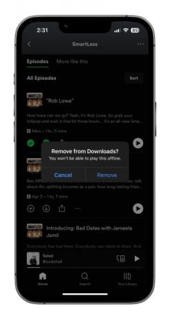 hoe liedjes te downloaden van Spotify Music Mobile verwijderen