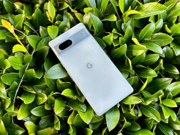 茂みの上に横たわる Google Pixel 7a
