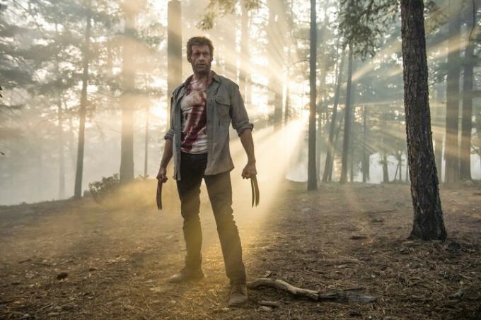 Wolverine stojí v lese v Loganu.