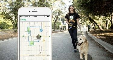 Wag app kutyával és sétáltatóval