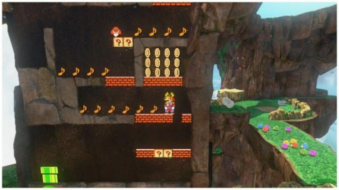 Super Mario Odyssey: Teka-teki Umum -- Mencatat