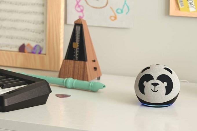 Panda edizione per bambini Echo Dot