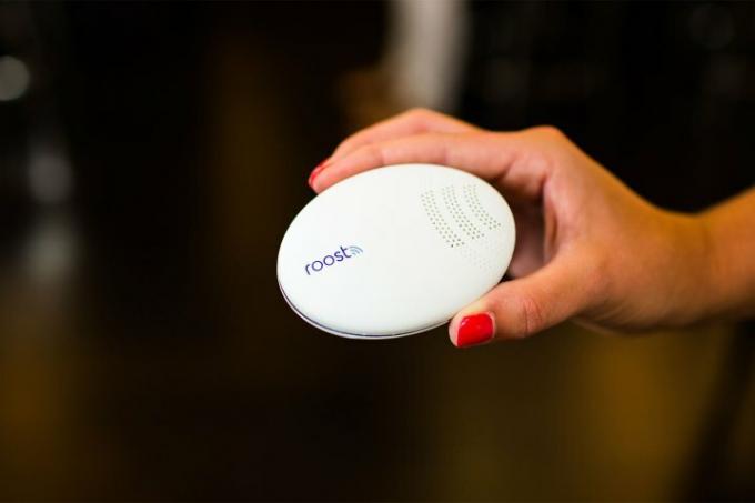 Roost Smart Water- en bevriezingsdetector