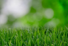 Ez a Lawn Care App segít a környék legzöldebb fűjének növekedésében