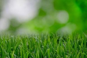 Esta aplicación de cuidado del césped ayuda a cultivar la hierba más verde del vecindario