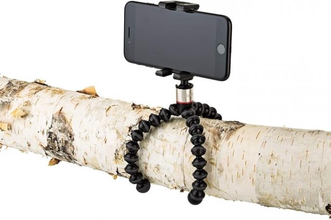 Joby GripTight ONE GorillaPod Stand appollaiato su un ramo.