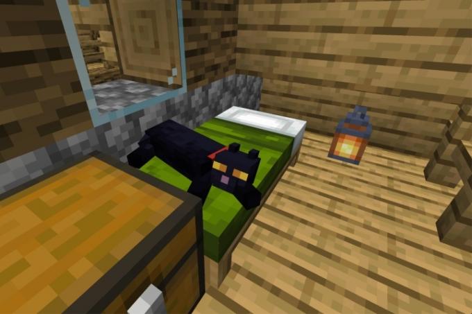 comment apprivoiser un chat minecraft en position couchée sur le lit