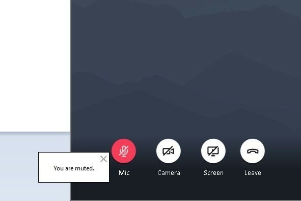 Posnetek zaslona GoToMeeting Mic Muted