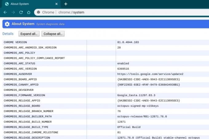 Chromebook-systeeminformatie