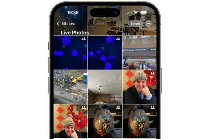 iPhone mostrando o aplicativo Fotos com a galeria Live Photo aberta.