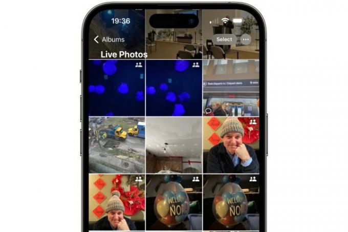 iPhone აჩვენებს Photos აპს ცოცხალი ფოტო გალერეით ღია.